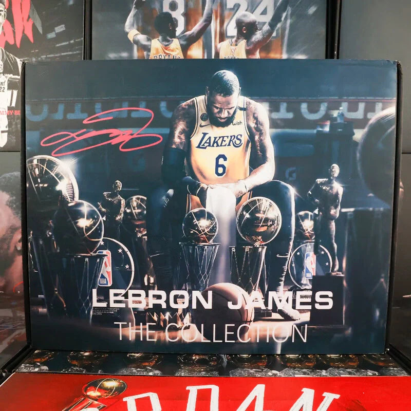 LeBron James Funko Pop 6 23